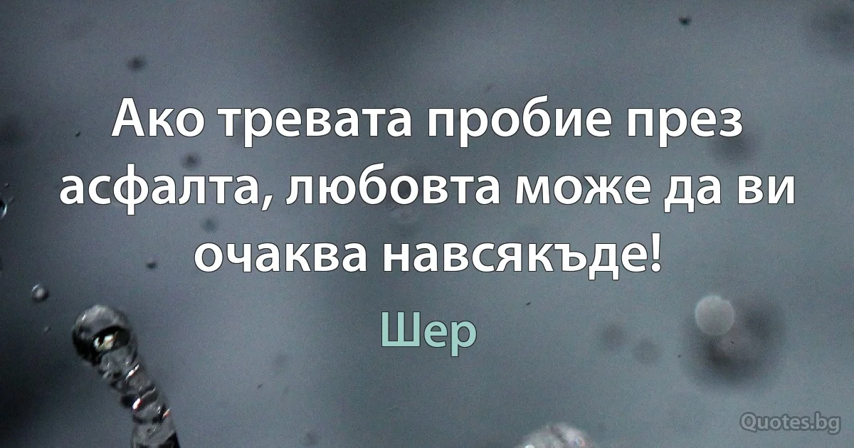 Ако тревата пробие през асфалта, любовта може да ви очаква навсякъде! (Шер)