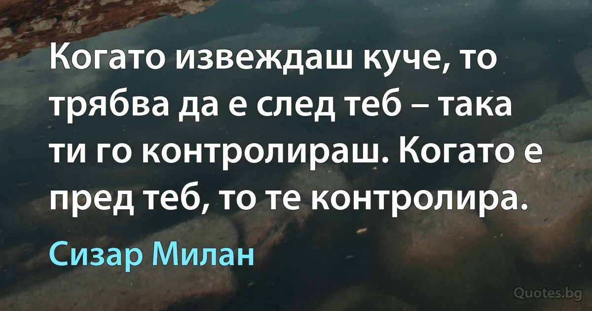 Когато извеждаш куче, то трябва да е след теб – така ти го контролираш. Когато е пред теб, то те контролира. (Сизар Милан)