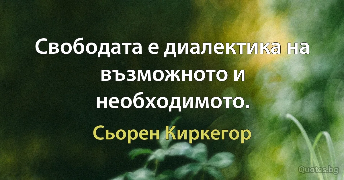 Свободата е диалектика на възможното и необходимото. (Сьорен Киркегор)