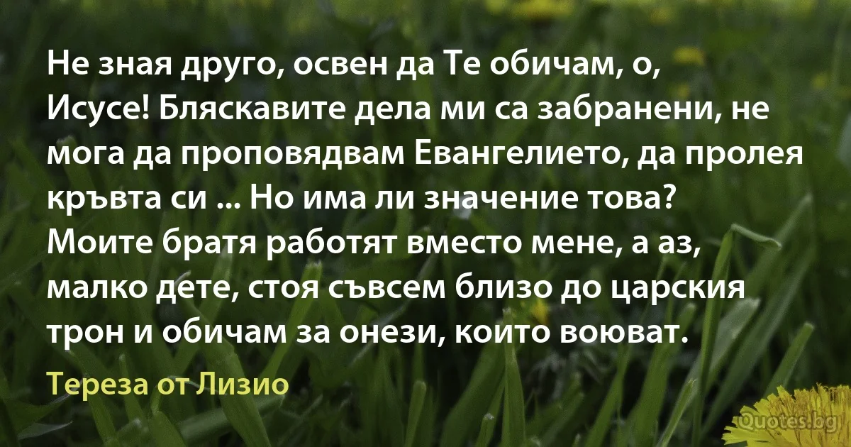 Не зная друго, освен да Те обичам, о, Исусе! Бляскавите дела ми са забранени, не мога да проповядвам Евангелието, да пролея кръвта си ... Но има ли значение това? Моите братя работят вместо мене, а аз, малко дете, стоя съвсем близо до царския трон и обичам за онези, които воюват. (Тереза от Лизио)