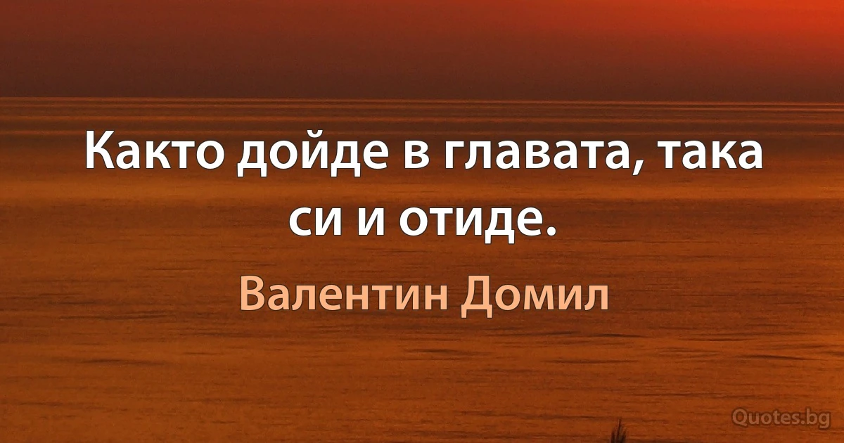 Както дойде в главата, така си и отиде. (Валентин Домил)