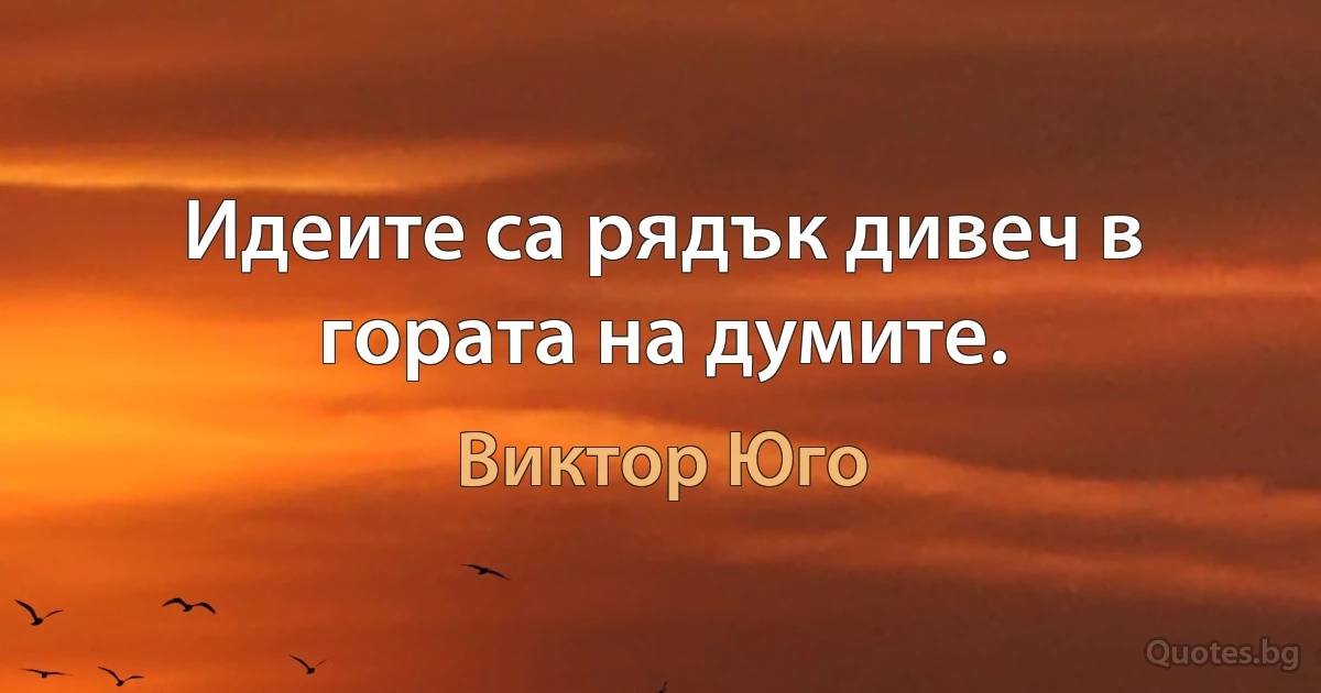 Идеите са рядък дивеч в гората на думите. (Виктор Юго)