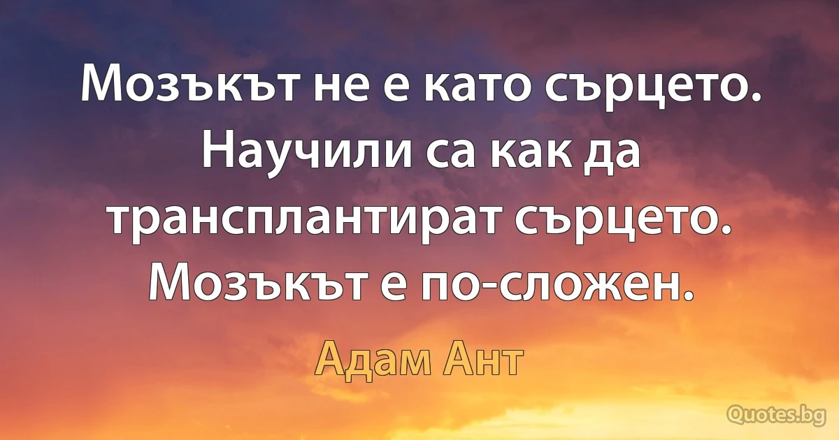 Мозъкът не е като сърцето. Научили са как да трансплантират сърцето. Мозъкът е по-сложен. (Адам Ант)