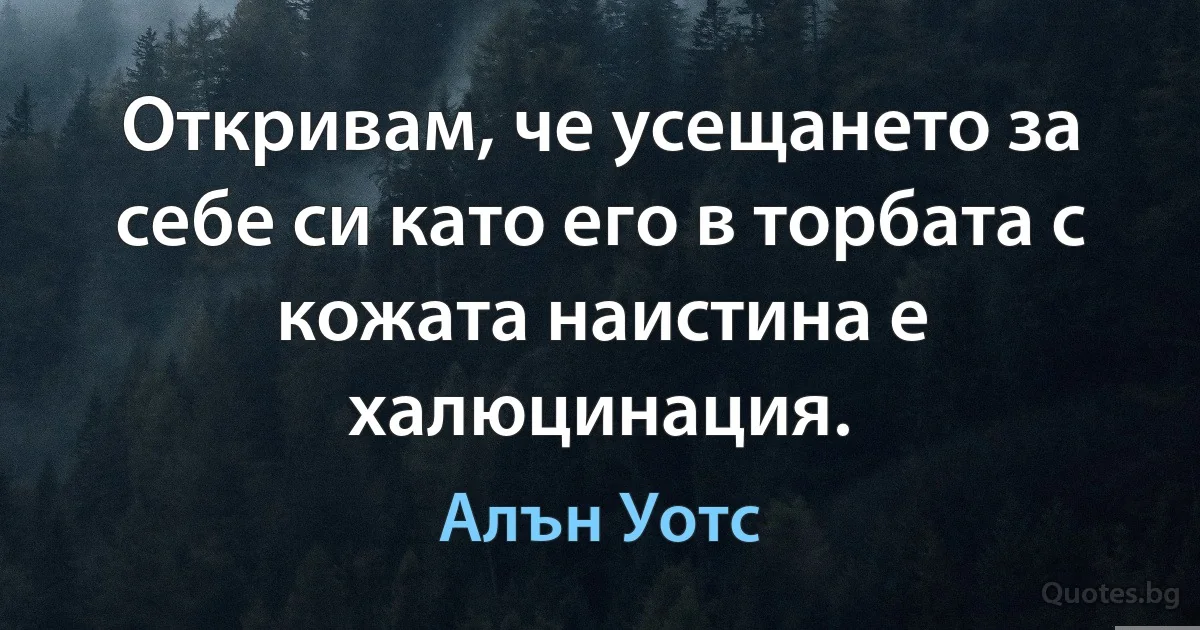 Откривам, че усещането за себе си като его в торбата с кожата наистина е халюцинация. (Алън Уотс)