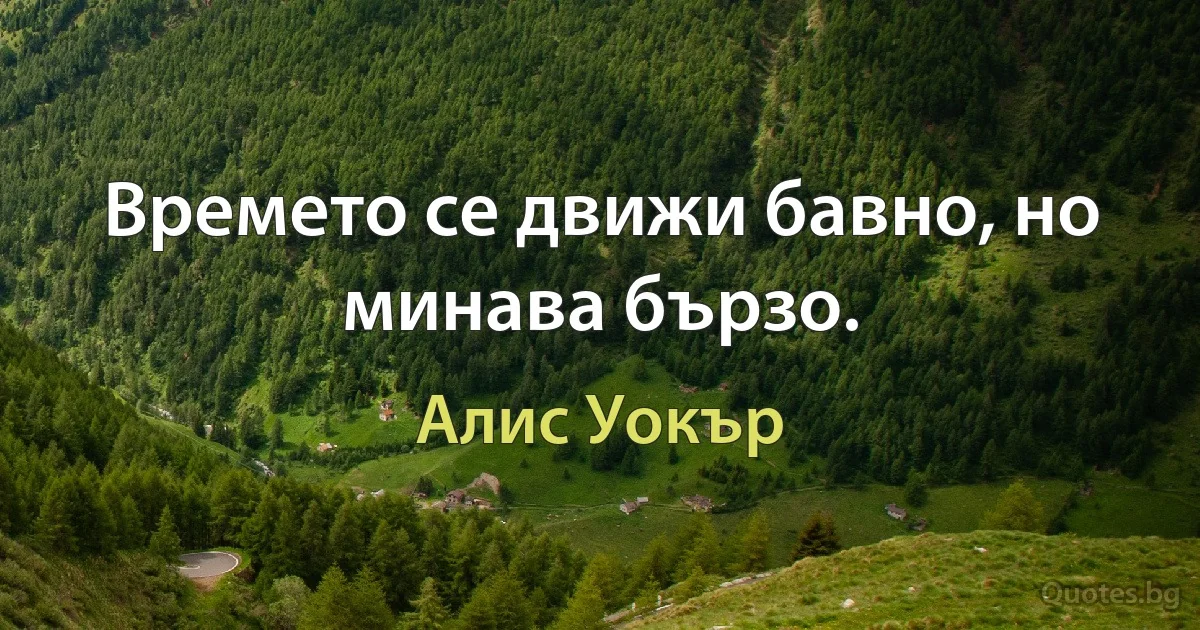 Времето се движи бавно, но минава бързо. (Алис Уокър)