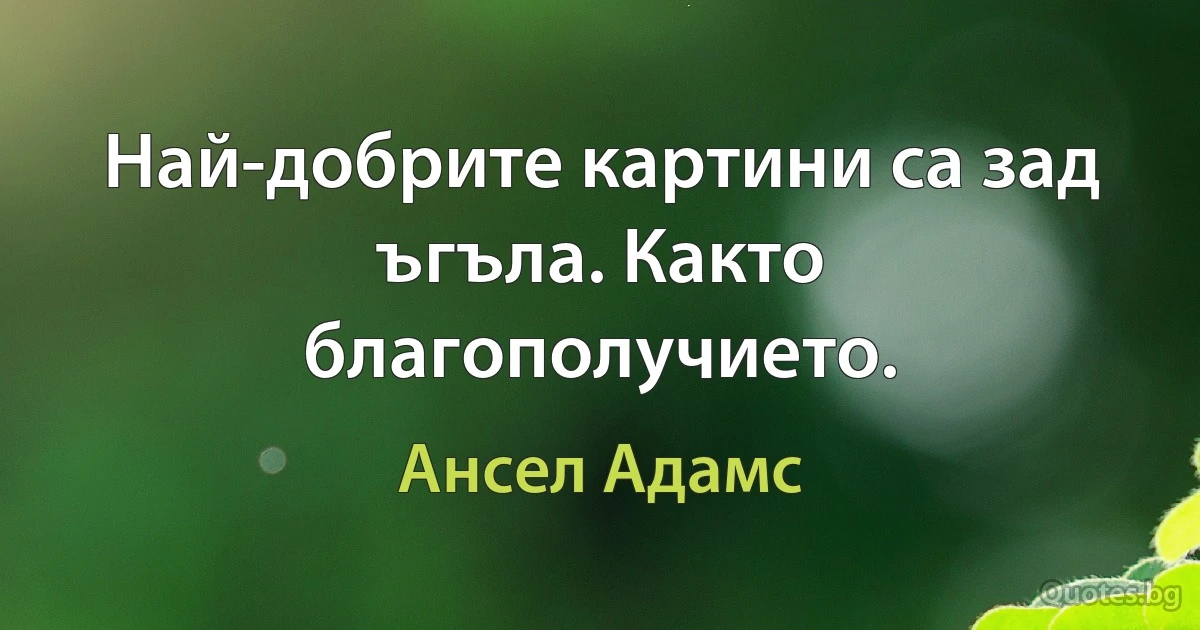 Най-добрите картини са зад ъгъла. Както благополучието. (Ансел Адамс)