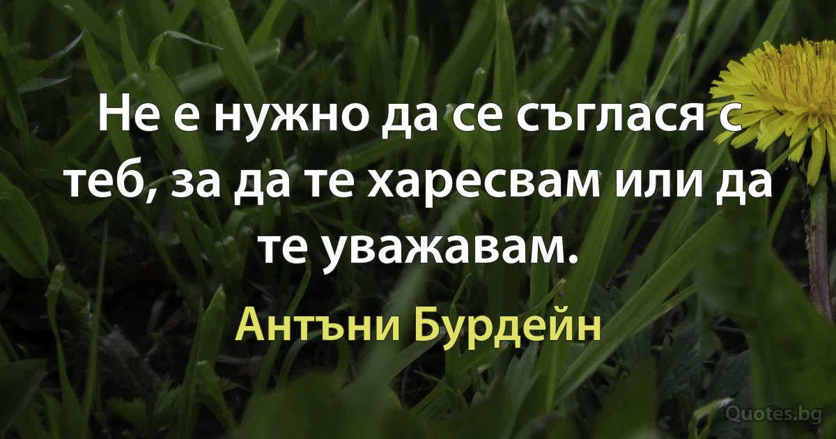 Не е нужно да се съглася с теб, за да те харесвам или да те уважавам. (Антъни Бурдейн)