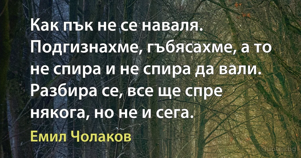 Как пък не се наваля. Подгизнахме, гъбясахме, а то не спира и не спира да вали. Разбира се, все ще спре някога, но не и сега. (Емил Чолаков)