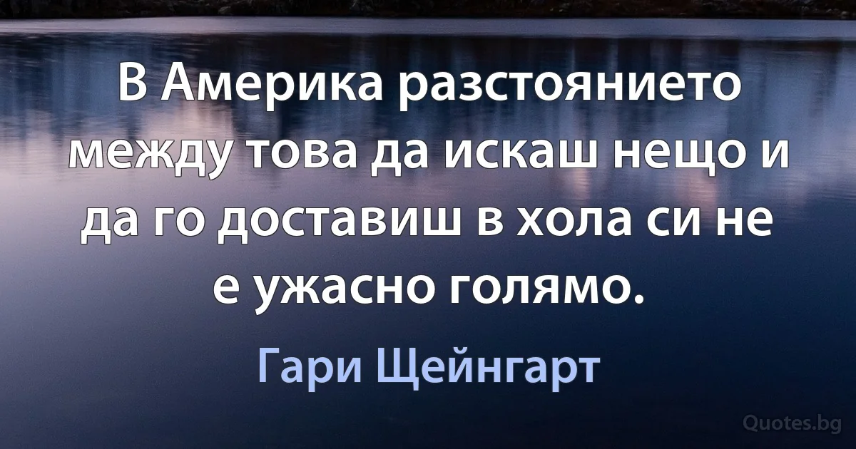 В Америка разстоянието между това да искаш нещо и да го доставиш в хола си не е ужасно голямо. (Гари Щейнгарт)