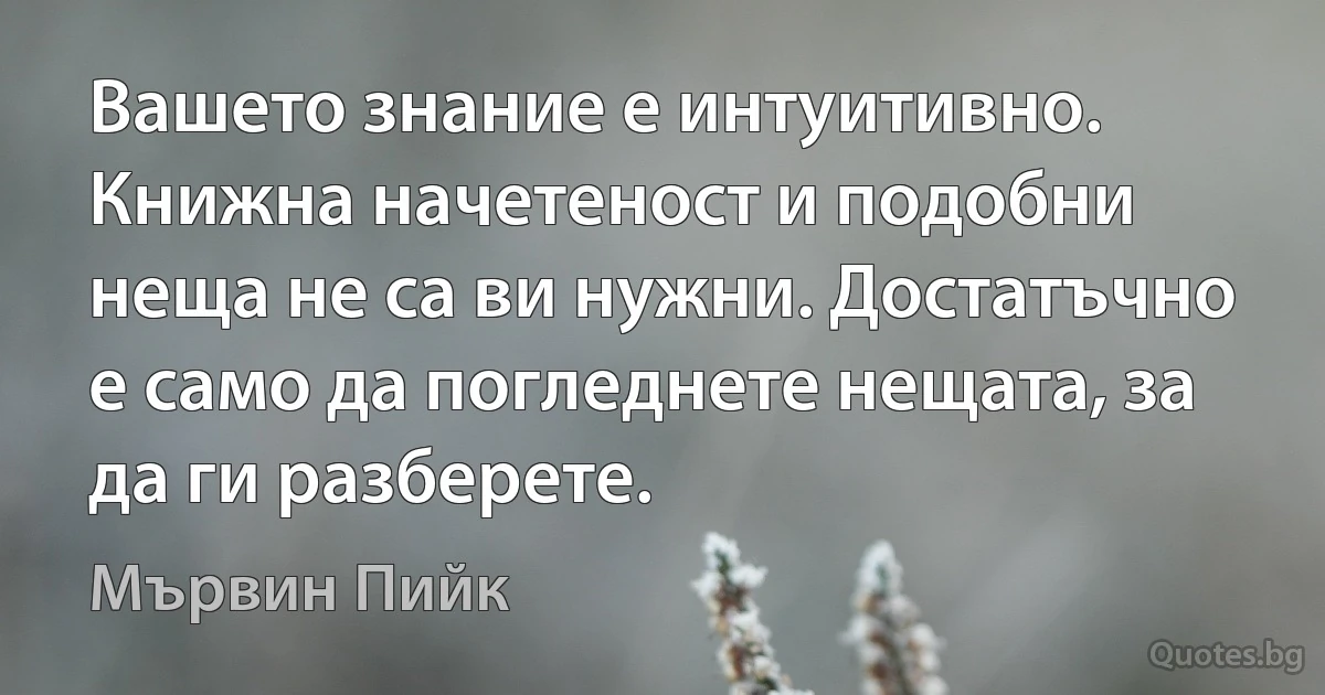 Вашето знание е интуитивно. Книжна начетеност и подобни неща не са ви нужни. Достатъчно е само да погледнете нещата, за да ги разберете. (Мървин Пийк)