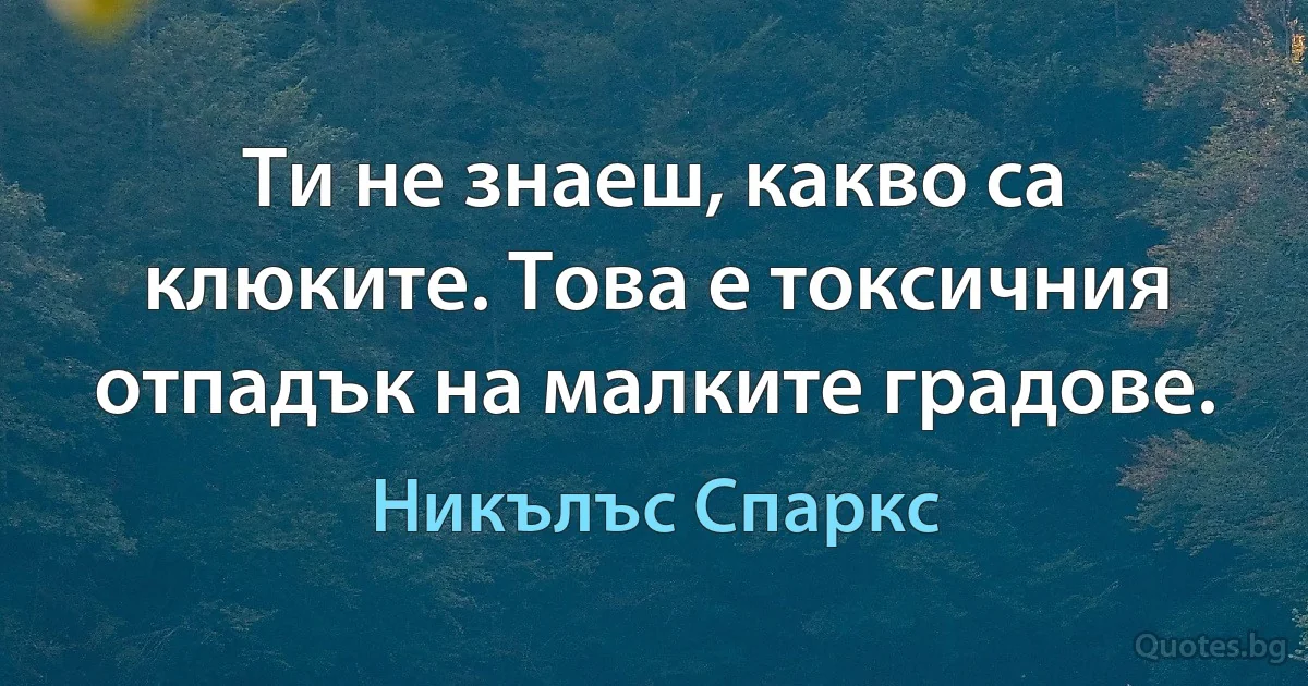 Ти не знаеш, какво са клюките. Това е токсичния отпадък на малките градове. (Никълъс Спаркс)