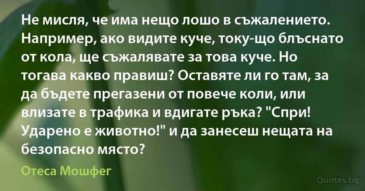 Не мисля, че има нещо лошо в съжалението. Например, ако видите куче, току-що блъснато от кола, ще съжалявате за това куче. Но тогава какво правиш? Оставяте ли го там, за да бъдете прегазени от повече коли, или влизате в трафика и вдигате ръка? "Спри! Ударено е животно!" и да занесеш нещата на безопасно място? (Отеса Мошфег)