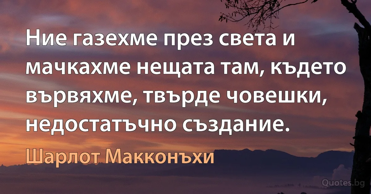 Ние газехме през света и мачкахме нещата там, където вървяхме, твърде човешки, недостатъчно създание. (Шарлот Макконъхи)