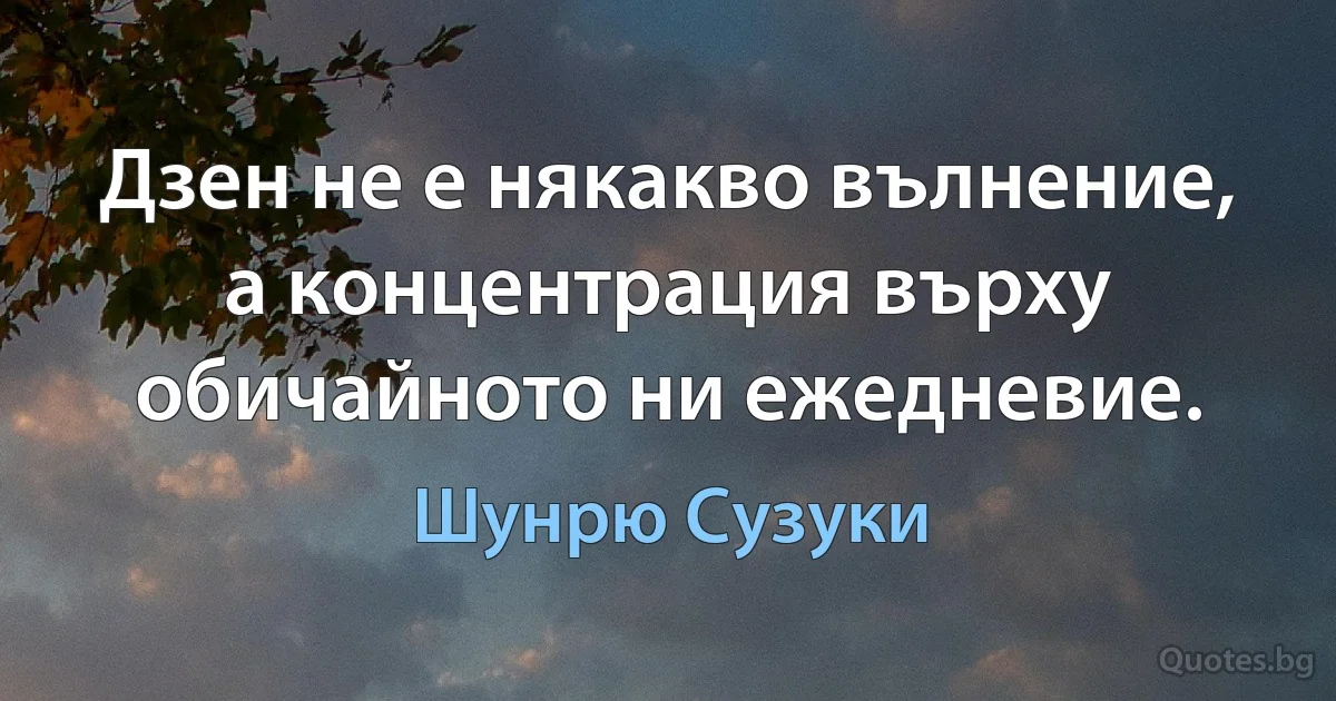 Дзен не е някакво вълнение, а концентрация върху обичайното ни ежедневие. (Шунрю Сузуки)