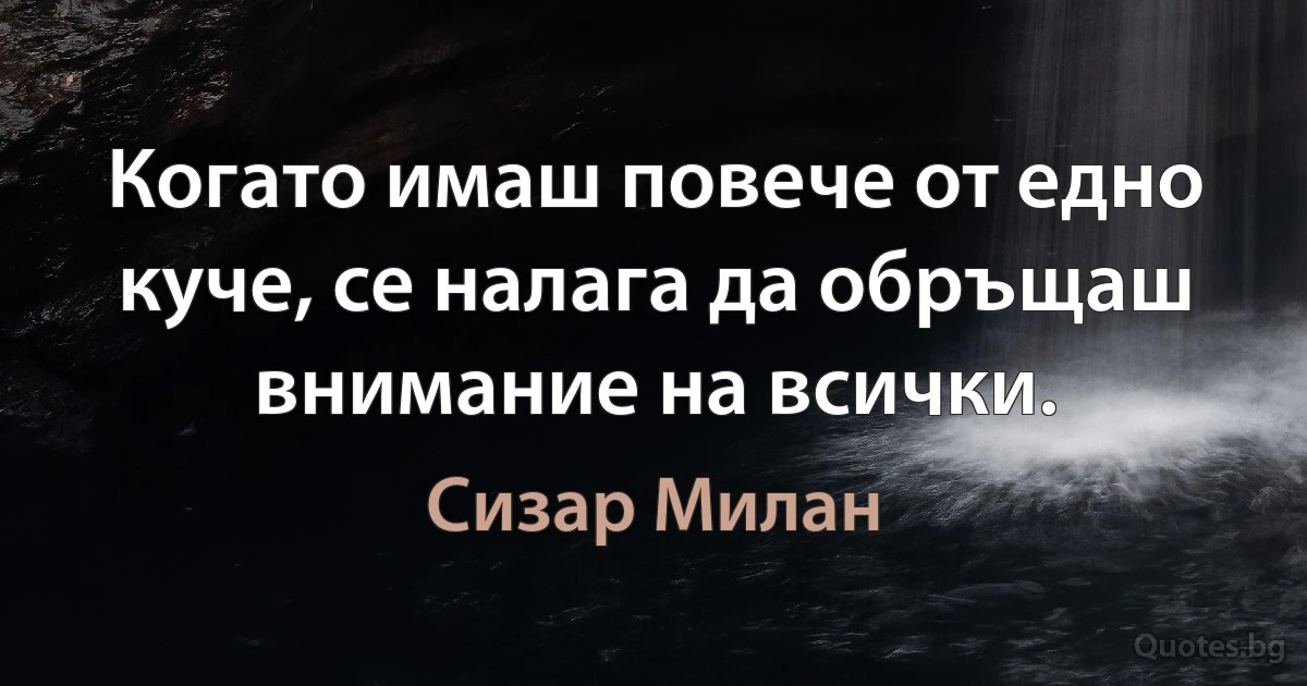 Когато имаш повече от едно куче, се налага да обръщаш внимание на всички. (Сизар Милан)