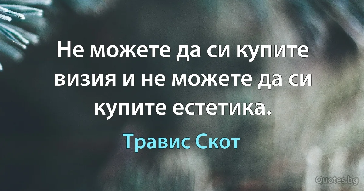 Не можете да си купите визия и не можете да си купите естетика. (Травис Скот)