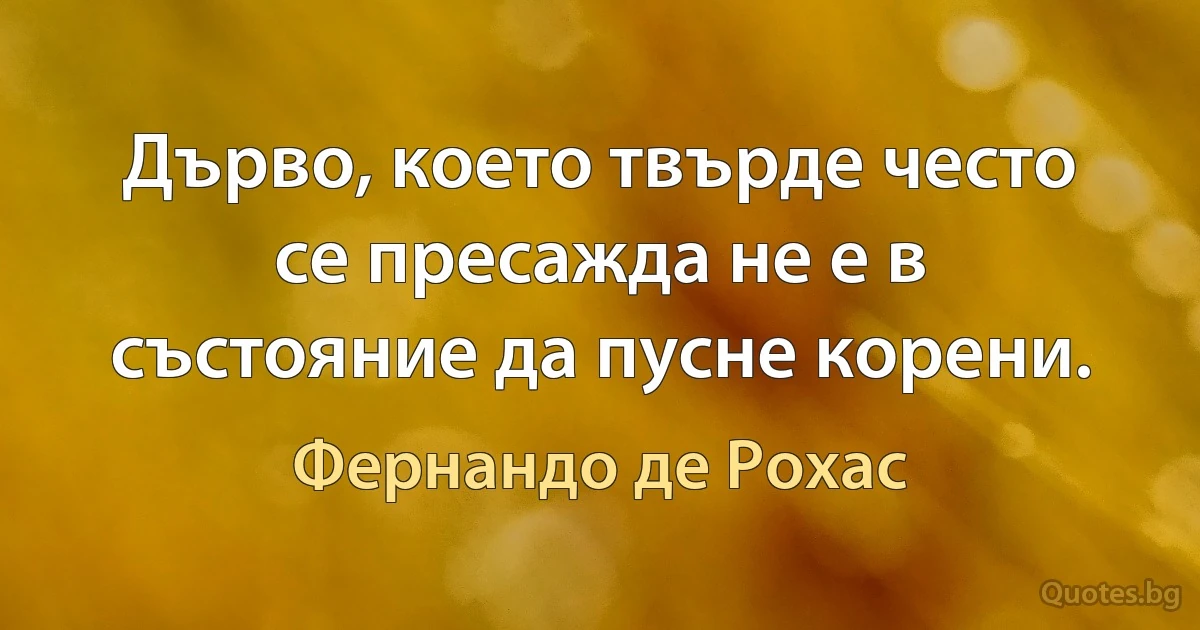 Дърво, което твърде често се пресажда не е в състояние да пусне корени. (Фернандо де Рохас)