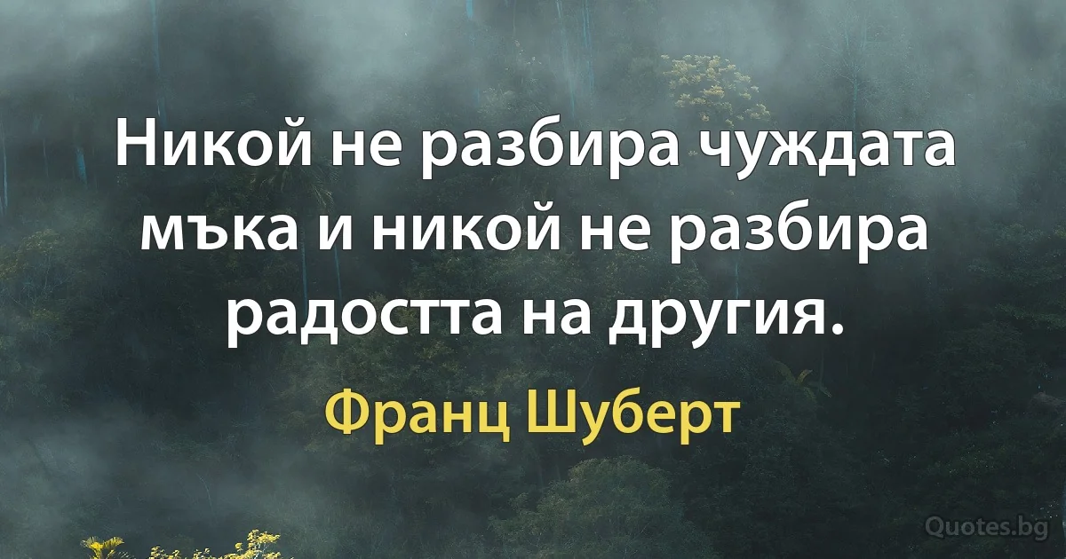 Никой не разбира чуждата мъка и никой не разбира радостта на другия. (Франц Шуберт)