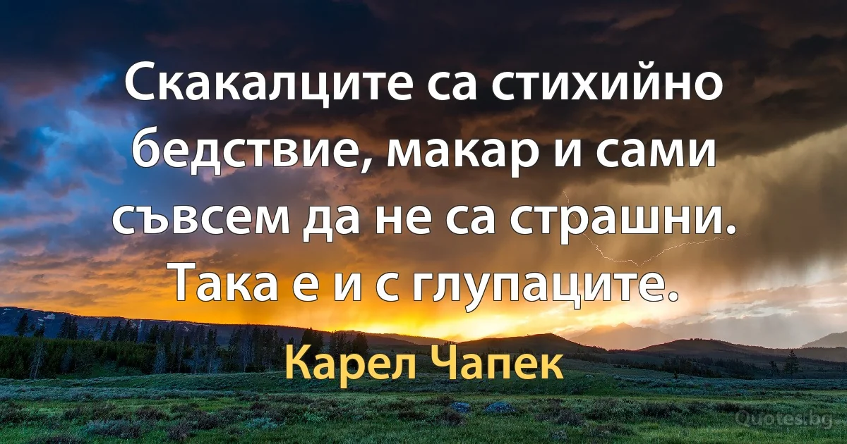 Скакалците са стихийно бедствие, макар и сами съвсем да не са страшни. Така е и с глупаците. (Карел Чапек)