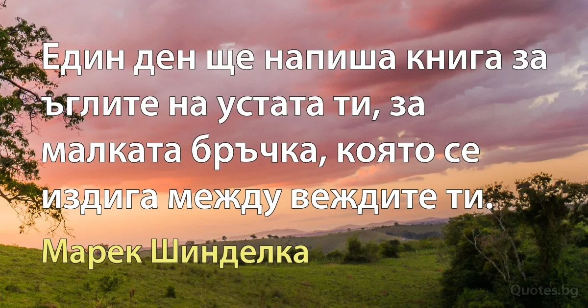 Един ден ще напиша книга за ъглите на устата ти, за малката бръчка, която се издига между веждите ти. (Марек Шинделка)