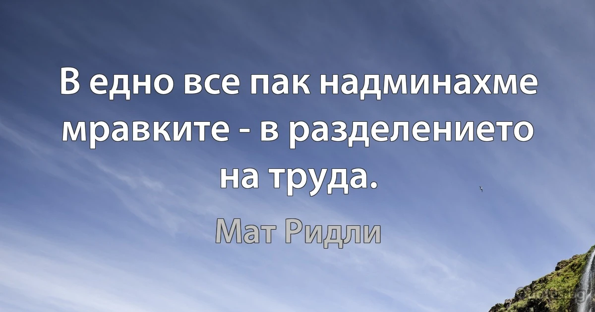 В едно все пак надминахме мравките - в разделението на труда. (Мат Ридли)