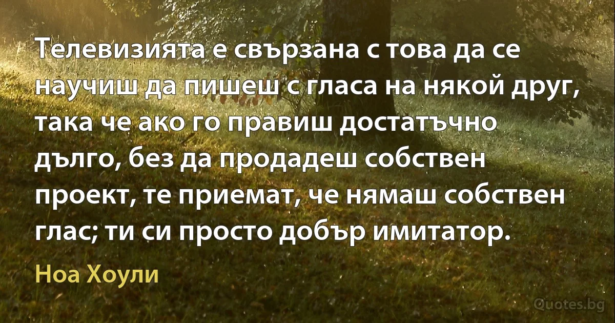 Телевизията е свързана с това да се научиш да пишеш с гласа на някой друг, така че ако го правиш достатъчно дълго, без да продадеш собствен проект, те приемат, че нямаш собствен глас; ти си просто добър имитатор. (Ноа Хоули)