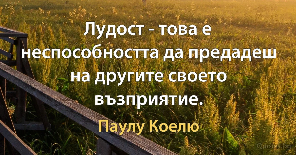 Лудост - това е неспособността да предадеш на другите своето възприятие. (Паулу Коелю)