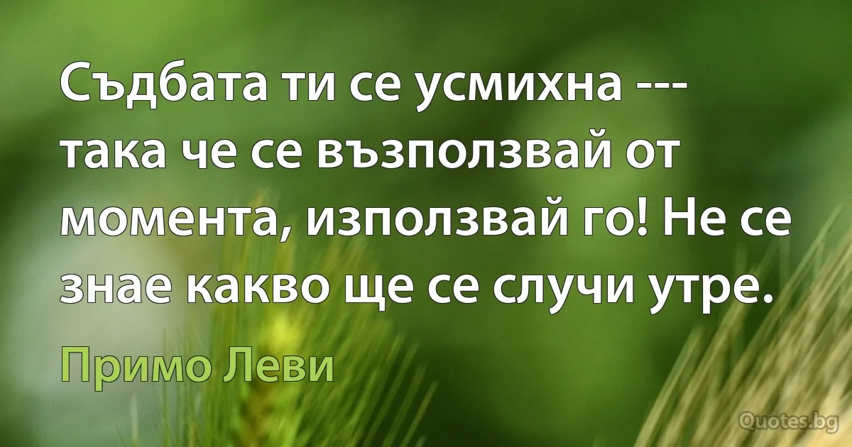 Съдбата ти се усмихна --- така че се възползвай от момента, използвай го! Не се знае какво ще се случи утре. (Примо Леви)