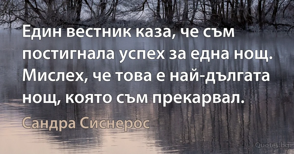 Един вестник каза, че съм постигнала успех за една нощ. Мислех, че това е най-дългата нощ, която съм прекарвал. (Сандра Сиснерос)