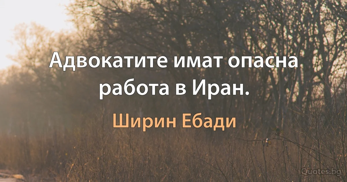 Адвокатите имат опасна работа в Иран. (Ширин Ебади)