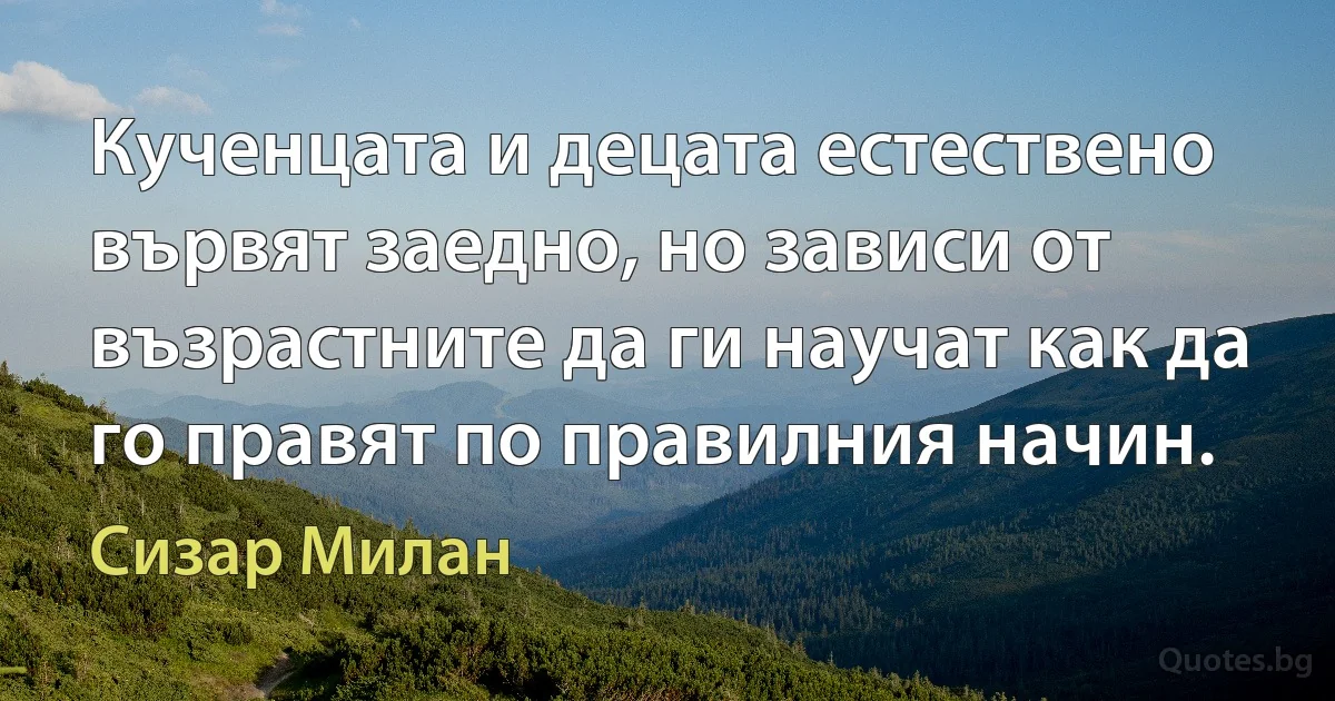 Кученцата и децата естествено вървят заедно, но зависи от възрастните да ги научат как да го правят по правилния начин. (Сизар Милан)