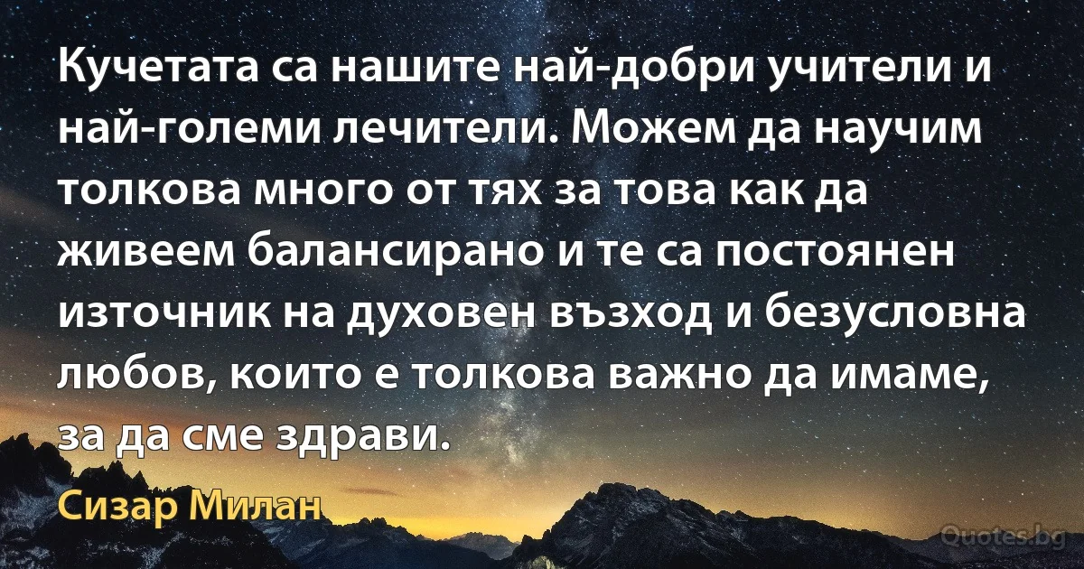 Кучетата са нашите най-добри учители и най-големи лечители. Можем да научим толкова много от тях за това как да живеем балансирано и те са постоянен източник на духовен възход и безусловна любов, които е толкова важно да имаме, за да сме здрави. (Сизар Милан)