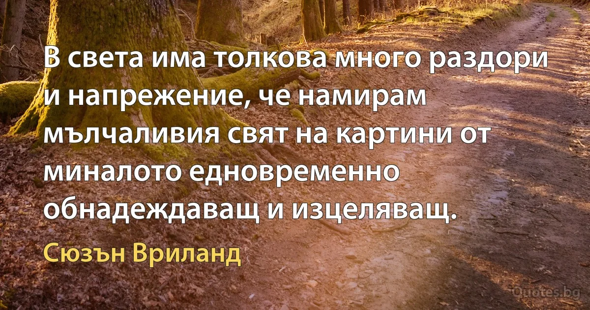 В света има толкова много раздори и напрежение, че намирам мълчаливия свят на картини от миналото едновременно обнадеждаващ и изцеляващ. (Сюзън Вриланд)