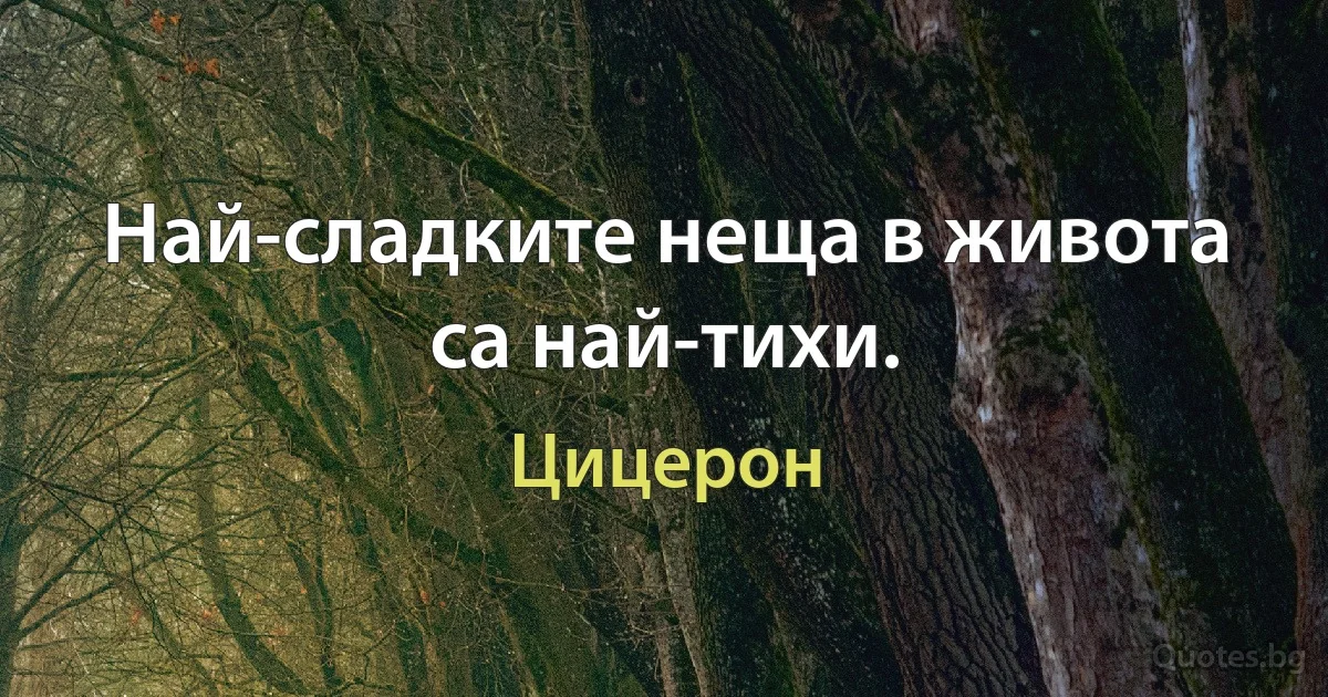 Най-сладките неща в живота са най-тихи. (Цицерон)