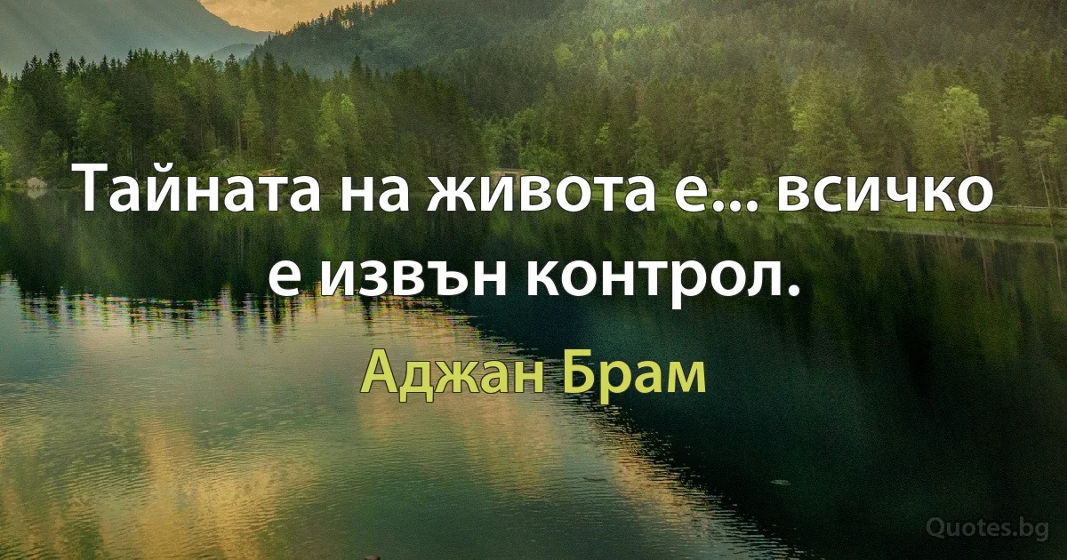 Тайната на живота е... всичко е извън контрол. (Аджан Брам)