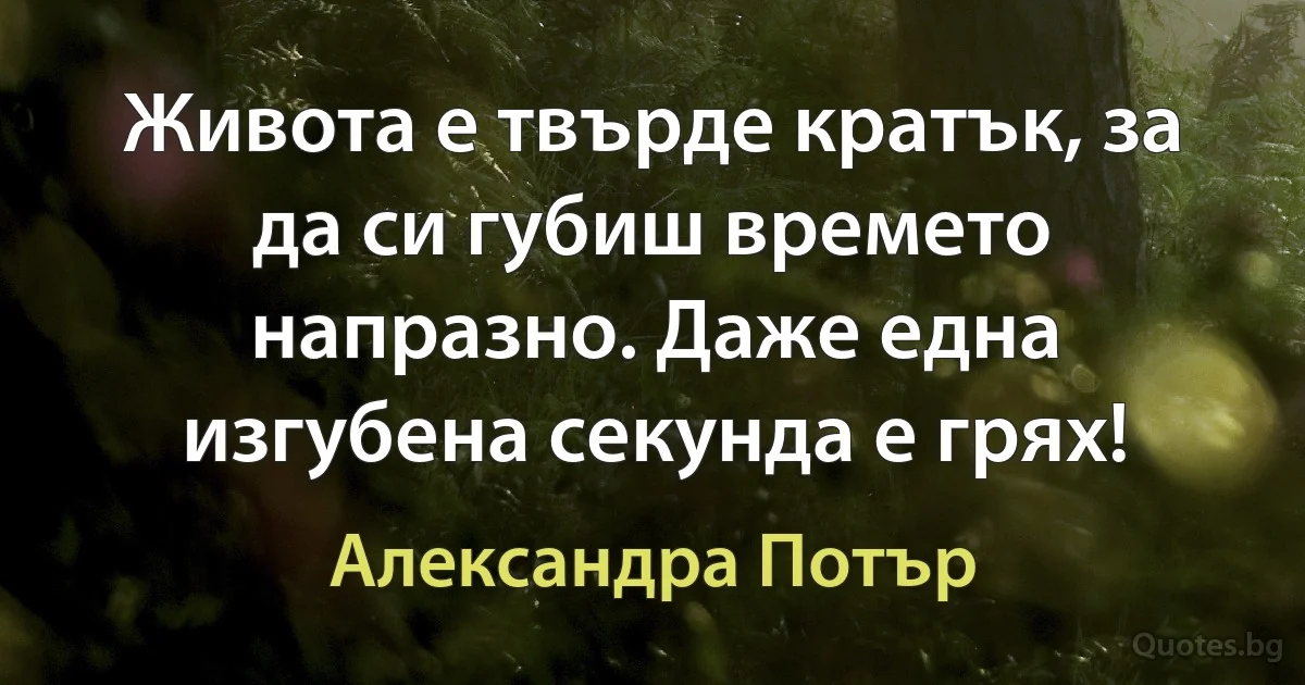 Живота е твърде кратък, за да си губиш времето напразно. Даже една изгубена секунда е грях! (Александра Потър)