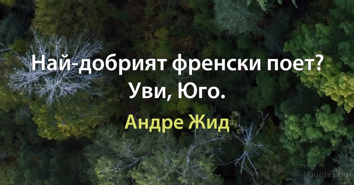 Най-добрият френски поет? Уви, Юго. (Андре Жид)