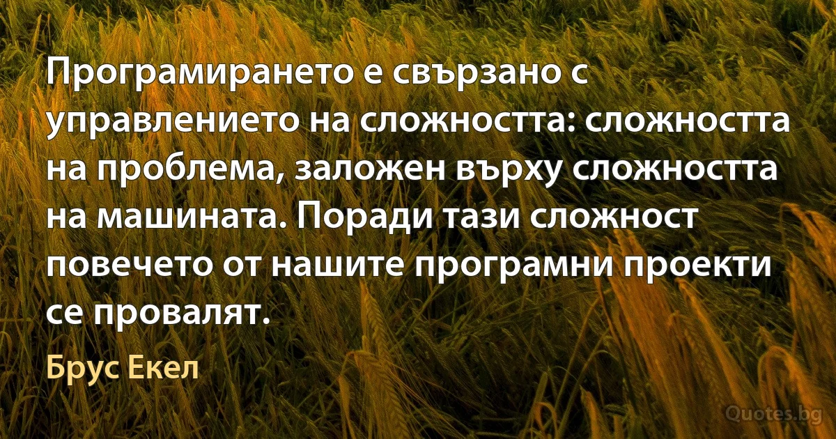 Програмирането е свързано с управлението на сложността: сложността на проблема, заложен върху сложността на машината. Поради тази сложност повечето от нашите програмни проекти се провалят. (Брус Екел)