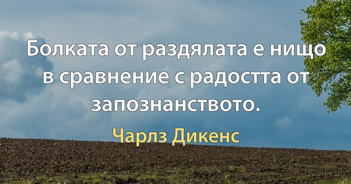 Болката от раздялата е нищо в сравнение с радостта от запознанството. (Чарлз Дикенс)