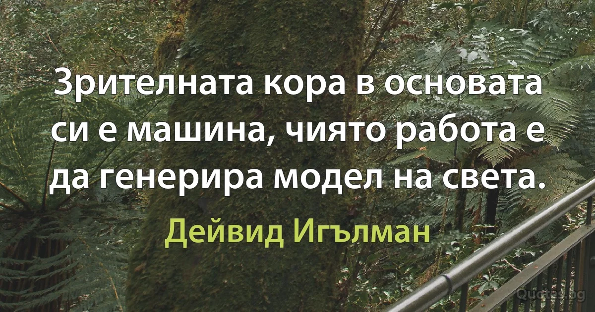 Зрителната кора в основата си е машина, чиято работа е да генерира модел на света. (Дейвид Игълман)