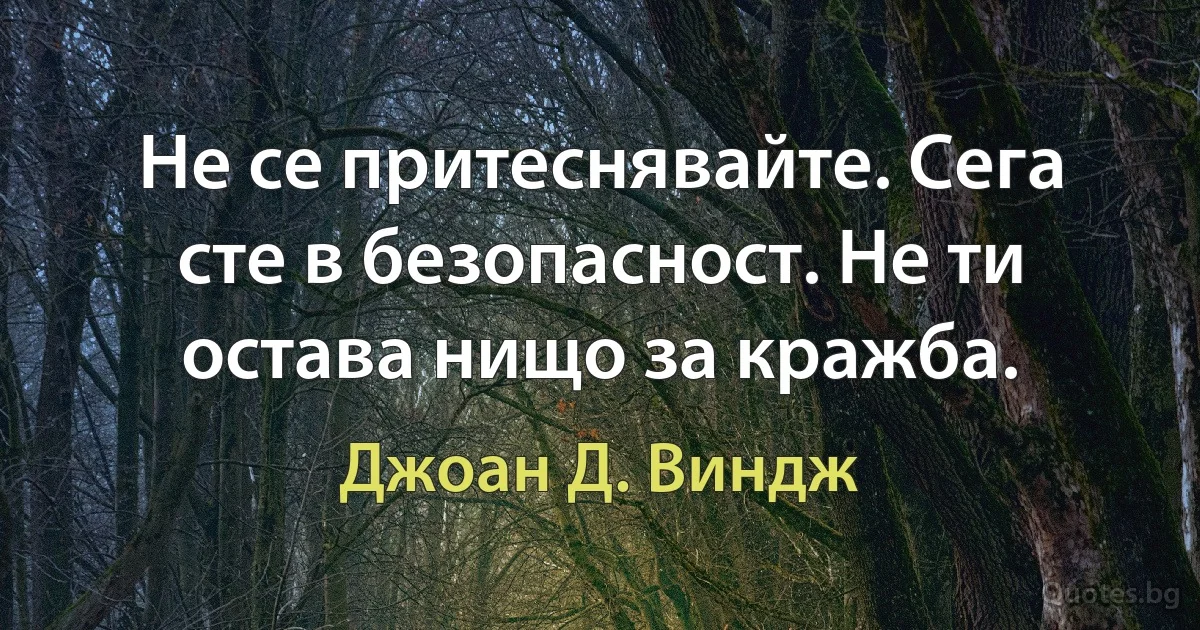 Не се притеснявайте. Сега сте в безопасност. Не ти остава нищо за кражба. (Джоан Д. Виндж)