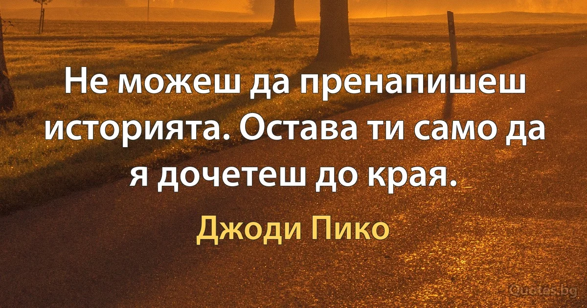 Не можеш да пренапишеш историята. Остава ти само да я дочетеш до края. (Джоди Пико)