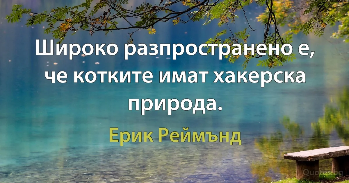 Широко разпространено е, че котките имат хакерска природа. (Ерик Реймънд)