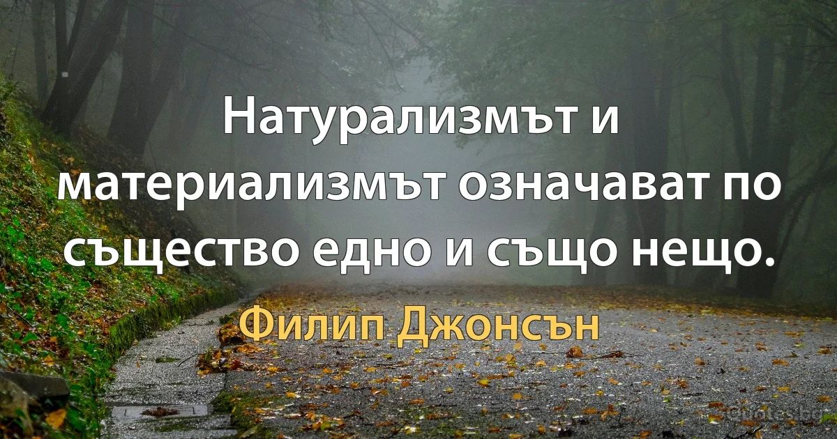 Натурализмът и материализмът означават по същество едно и също нещо. (Филип Джонсън)