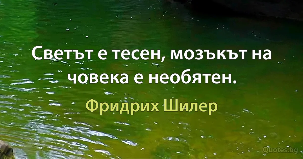 Светът е тесен, мозъкът на човека е необятен. (Фридрих Шилер)