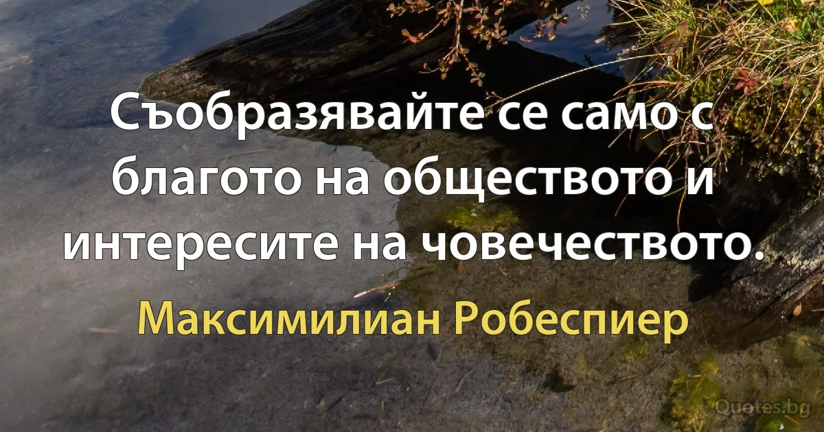 Съобразявайте се само с благото на обществото и интересите на човечеството. (Максимилиан Робеспиер)