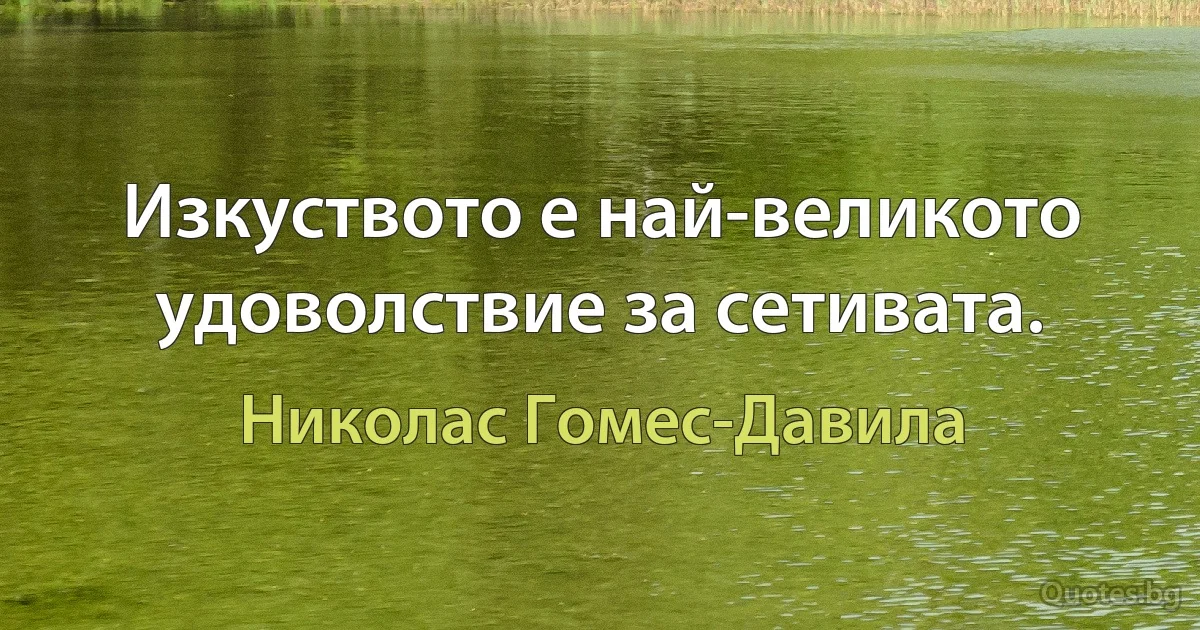 Изкуството е най-великото удоволствие за сетивата. (Николас Гомес-Давила)