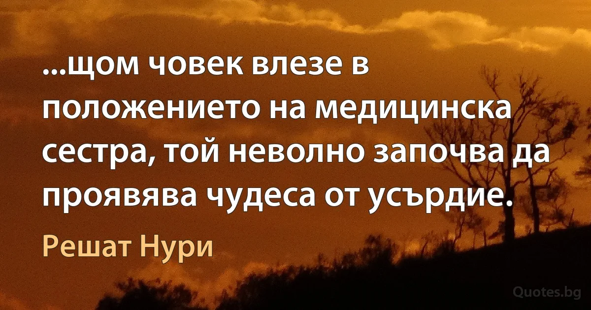 ...щом човек влезе в положението на медицинска сестра, той неволно започва да проявява чудеса от усърдие. (Решат Нури)