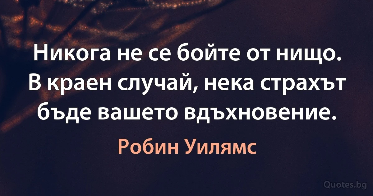 Никога не се бойте от нищо. В краен случай, нека страхът бъде вашето вдъхновение. (Робин Уилямс)