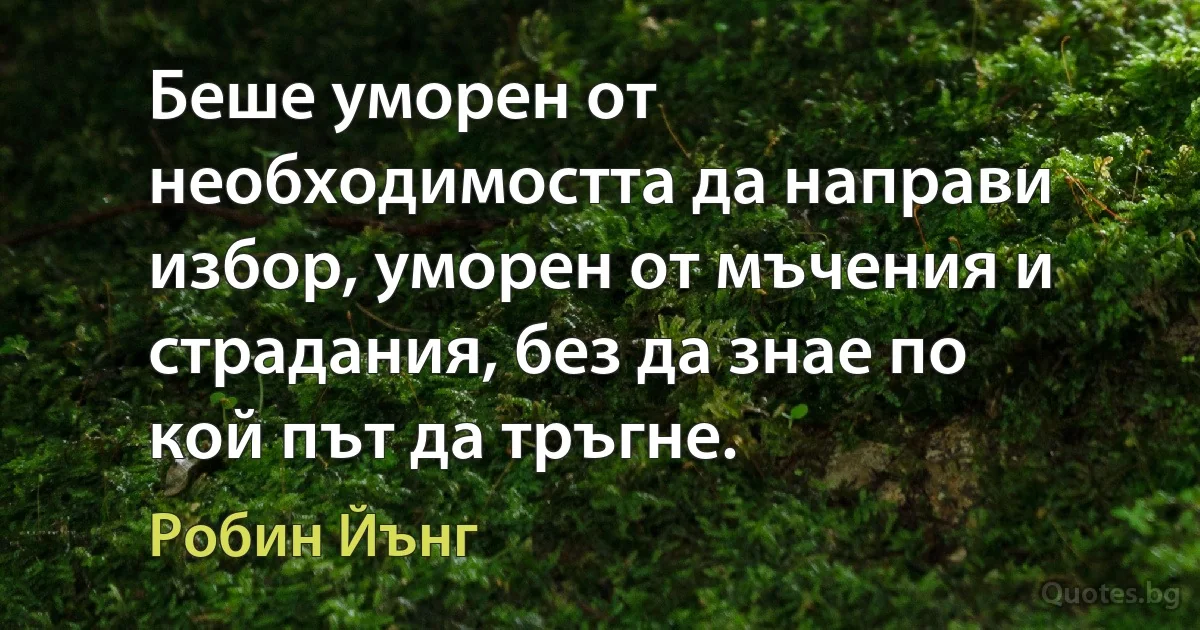 Беше уморен от необходимостта да направи избор, уморен от мъчения и страдания, без да знае по кой път да тръгне. (Робин Йънг)